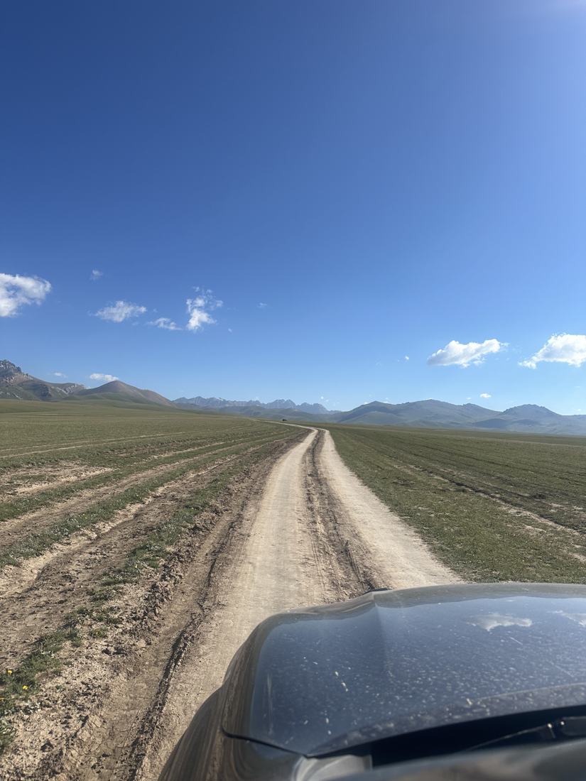Dirt track across high mountain grassland, seen over the bonnet